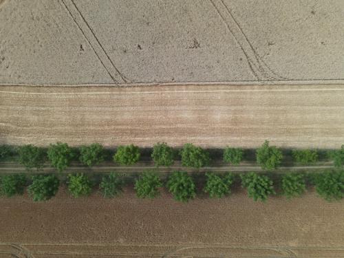 DJI_3624.JPG